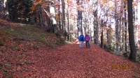 IMG_0183.jpg, 29kB